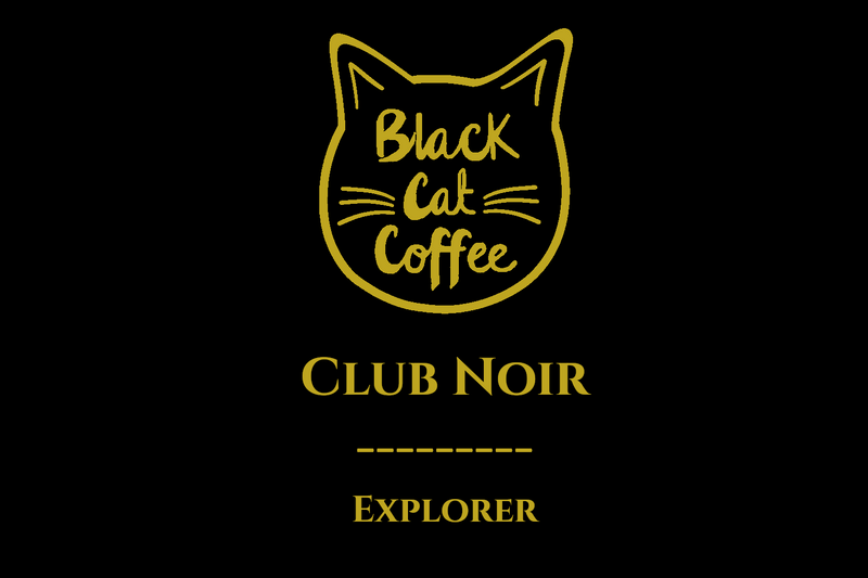 Club Noir - Explorer